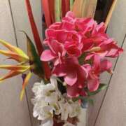 岩下しの 🍓Special  thanks🍓 松戸人妻花壇