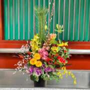 ヒメ日記 2026/01/08 16:14 投稿 岩下しの 松戸人妻花壇