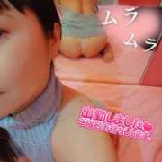 ヒメ日記 2025/05/16 07:09 投稿 苺(いちご) チューリップ宇都宮店