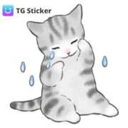 ヒメ日記 2025/10/20 08:29 投稿 苺(いちご) チューリップ宇都宮店