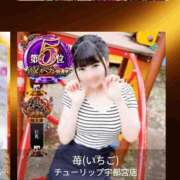 ヒメ日記 2025/11/12 12:59 投稿 苺(いちご) チューリップ宇都宮店