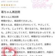 ヒメ日記 2025/11/21 11:09 投稿 苺(いちご) チューリップ宇都宮店