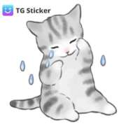 ヒメ日記 2025/11/24 06:39 投稿 苺(いちご) チューリップ宇都宮店