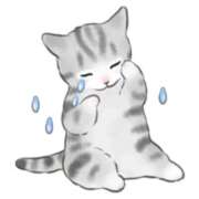 ヒメ日記 2025/12/08 07:21 投稿 苺(いちご) チューリップ宇都宮店