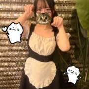 かなの にゃんにゃんお給仕͜☕️ˆ I   ̫  Iˆ) ͜🍰 舐めたくてグループ～君とサプライズ学園～越谷校