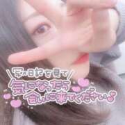 ヒメ日記 2025/02/09 09:38 投稿 皆川 新宿人妻城