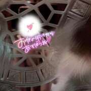 ヒメ日記 2025/06/09 00:30 投稿 皆川 新宿人妻城