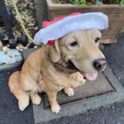 ヒメ日記 2025/12/24 08:45 投稿 皆川 新宿人妻城