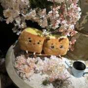 皆川 たまに来る質問 新宿人妻城