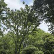 ヒメ日記 2025/05/05 14:00 投稿 皆川 渋谷人妻城