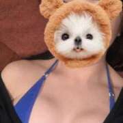 ヒメ日記 2025/02/20 00:34 投稿 るみ 天空のマット