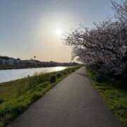 ヒメ日記 2025/04/13 21:11 投稿 れいか ナイトヴィーナス