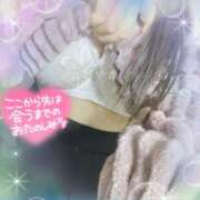 ヒメ日記 2025/02/07 18:00 投稿 ミモザ 飾窓