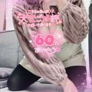 ヒメ日記 2025/02/09 23:04 投稿 ミモザ 飾窓