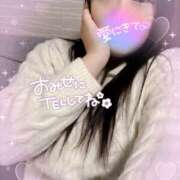 ヒメ日記 2025/02/10 15:20 投稿 ミモザ 飾窓