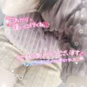 ヒメ日記 2025/02/14 18:52 投稿 ミモザ 飾窓