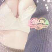 ヒメ日記 2025/02/26 13:14 投稿 ミモザ 飾窓