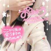 ヒメ日記 2025/03/06 16:00 投稿 ミモザ 飾窓