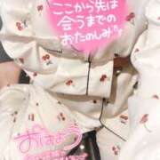 ヒメ日記 2025/03/07 10:25 投稿 ミモザ 飾窓