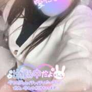 ヒメ日記 2025/03/08 09:21 投稿 ミモザ 飾窓