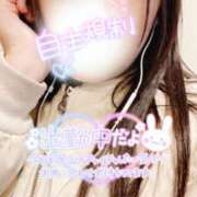 ヒメ日記 2025/03/09 14:41 投稿 ミモザ 飾窓