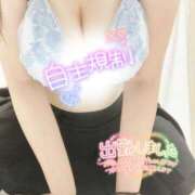 ヒメ日記 2025/03/13 10:06 投稿 ミモザ 飾窓