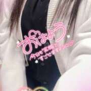 ヒメ日記 2025/03/14 10:01 投稿 ミモザ 飾窓