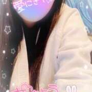 ヒメ日記 2025/03/15 13:26 投稿 ミモザ 飾窓