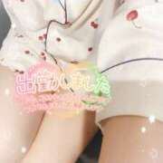 ヒメ日記 2025/04/11 15:00 投稿 ミモザ 飾窓