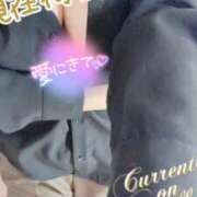 ヒメ日記 2025/04/11 18:24 投稿 ミモザ 飾窓