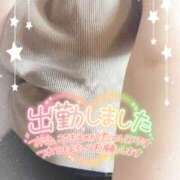 ヒメ日記 2025/04/23 15:28 投稿 ミモザ 飾窓