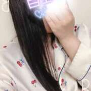 ヒメ日記 2025/05/10 00:00 投稿 ミモザ 飾窓