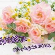 ヒメ日記 2025/05/14 00:00 投稿 ミモザ 飾窓