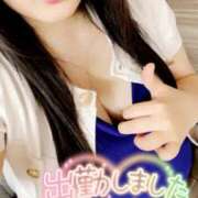 ヒメ日記 2025/05/16 11:48 投稿 ミモザ 飾窓