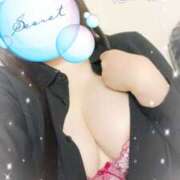 ヒメ日記 2025/05/19 09:30 投稿 ミモザ 飾窓