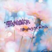 ヒメ日記 2025/05/19 22:43 投稿 ミモザ 飾窓