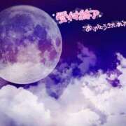 ヒメ日記 2025/05/21 23:33 投稿 ミモザ 飾窓