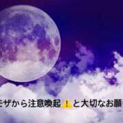ヒメ日記 2025/05/26 14:38 投稿 ミモザ 飾窓