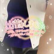 ヒメ日記 2025/05/29 10:03 投稿 ミモザ 飾窓