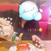 ヒメ日記 2025/05/31 00:30 投稿 ミモザ 飾窓