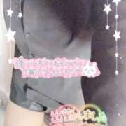 ヒメ日記 2025/05/31 10:33 投稿 ミモザ 飾窓