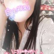 ヒメ日記 2025/06/09 12:00 投稿 ミモザ 飾窓