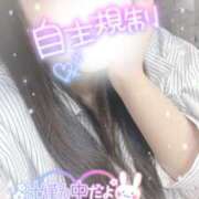 ヒメ日記 2025/06/13 11:58 投稿 ミモザ 飾窓