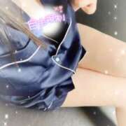 ヒメ日記 2025/06/13 15:00 投稿 ミモザ 飾窓