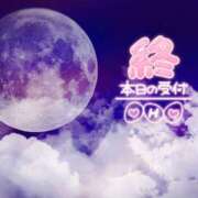 ヒメ日記 2025/06/14 02:52 投稿 ミモザ 飾窓