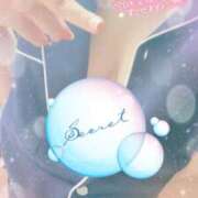 ヒメ日記 2025/06/14 10:00 投稿 ミモザ 飾窓