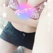 ヒメ日記 2025/06/15 12:10 投稿 ミモザ 飾窓