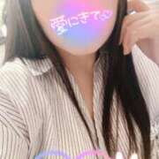 ヒメ日記 2025/06/16 10:10 投稿 ミモザ 飾窓