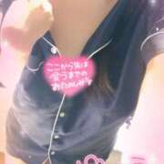 ヒメ日記 2025/06/19 09:52 投稿 ミモザ 飾窓