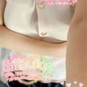 ヒメ日記 2025/06/27 12:00 投稿 ミモザ 飾窓